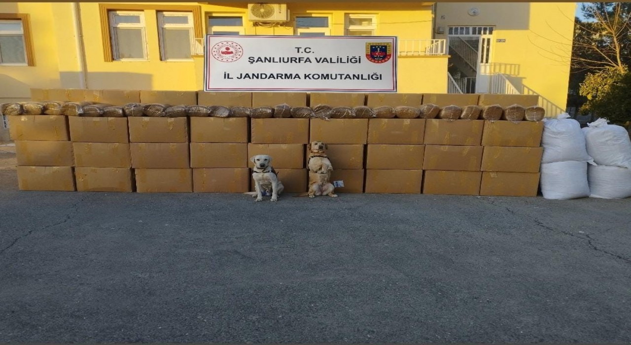 Şanlıurfada kaçak sigara ve tütün ele geçirildi