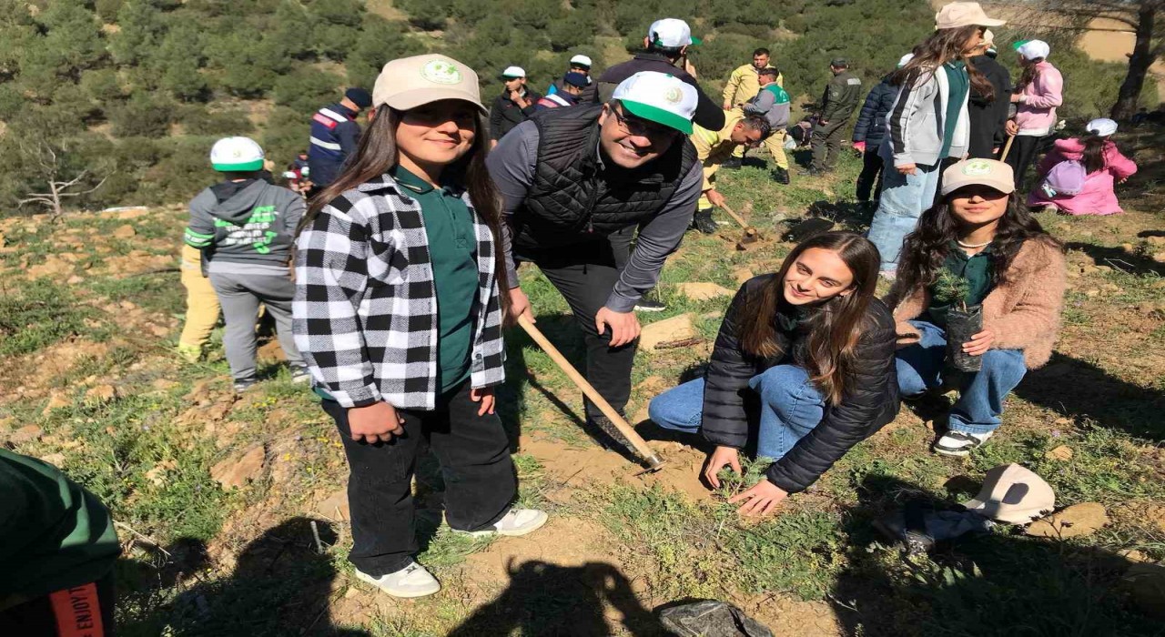 Sarıgölde 400 fıstık çamı toprakla buluştu