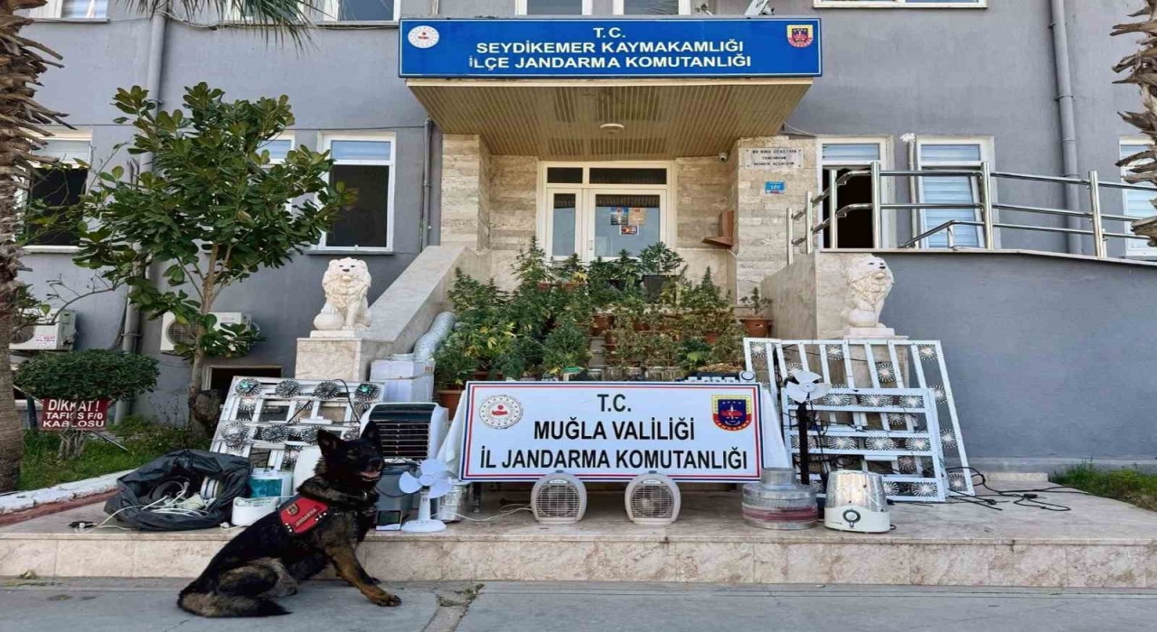 Seydikemerde uyuşturucu operasyonu: 1 kişi tutuklandı