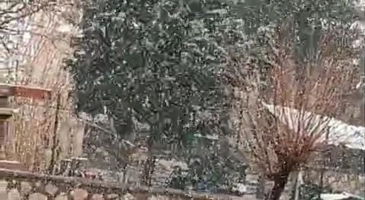 Siirtte mart ayında kar sürprizi