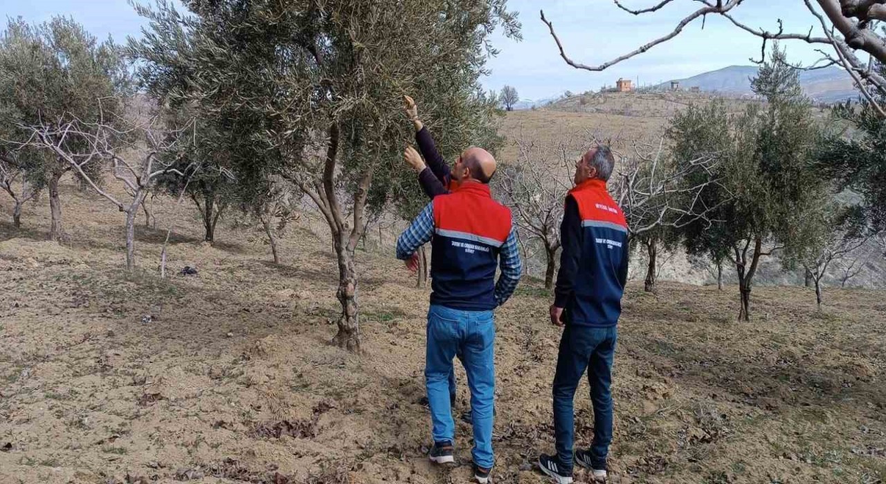 Siirtte soğuk hava ve don kontrolleri yapıldı
