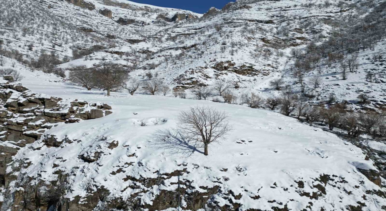 Şırnakta dağlar karla kaplı