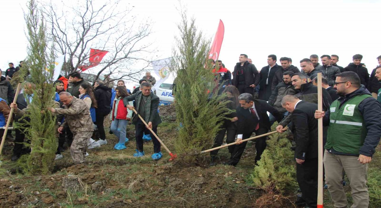 Şırnakta Dünya Ormancılık Günü kapsamında fidan dikimi yapıldı