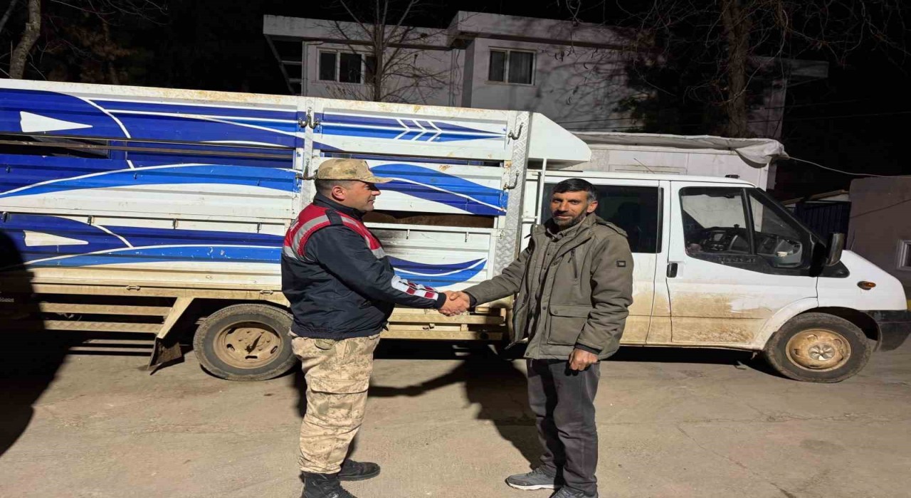 Siverekte çalınan 51 küçükbaş hayvan bulunarak sahiplerine teslim etti