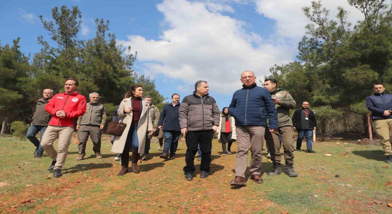 Sokak hayvanları için örnek proje