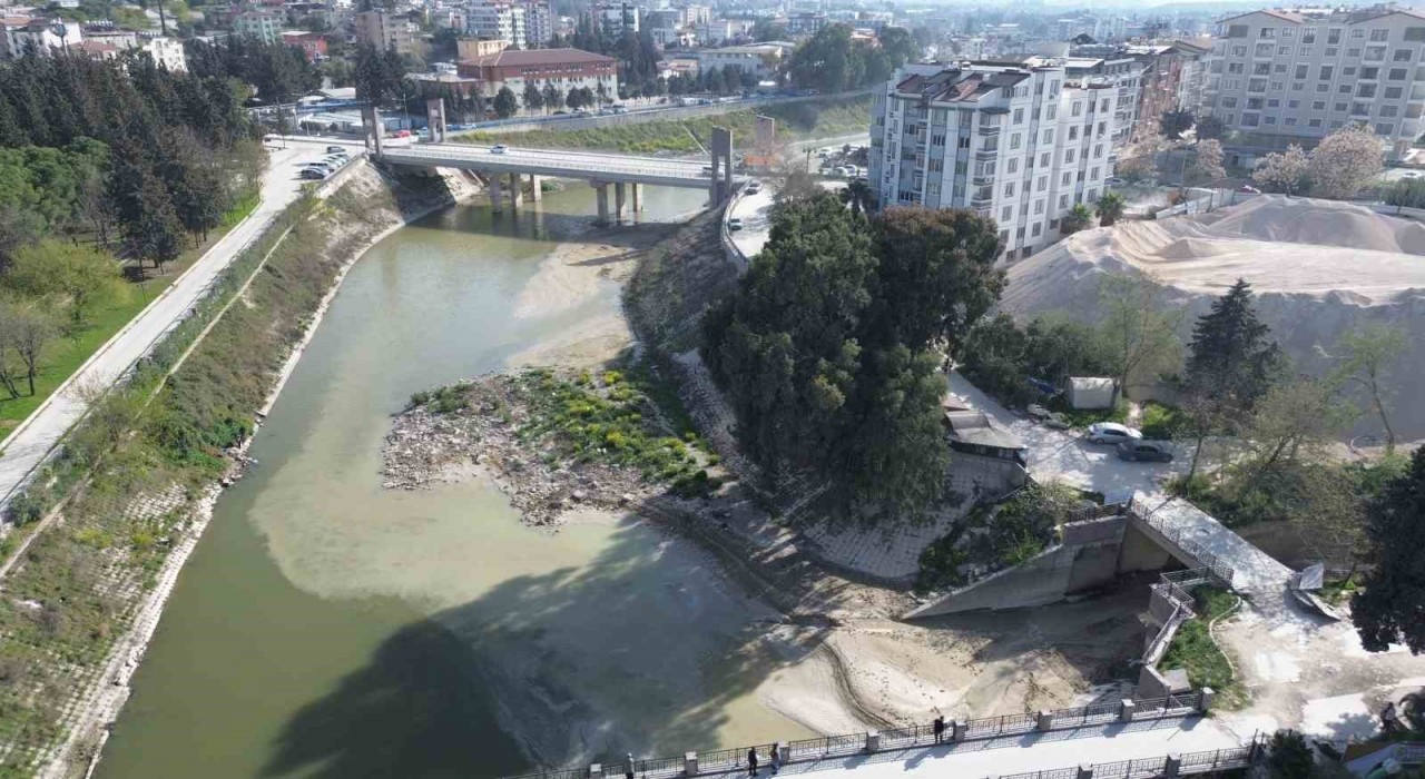 Suyun renginin değiştiği Asi Nehrinde tedirgin eden balık ölümleri