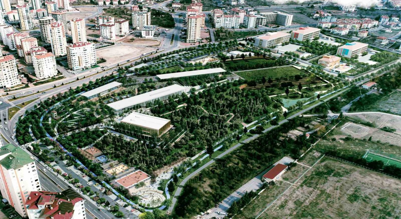Talas Millet Bahçesinde sona doğru