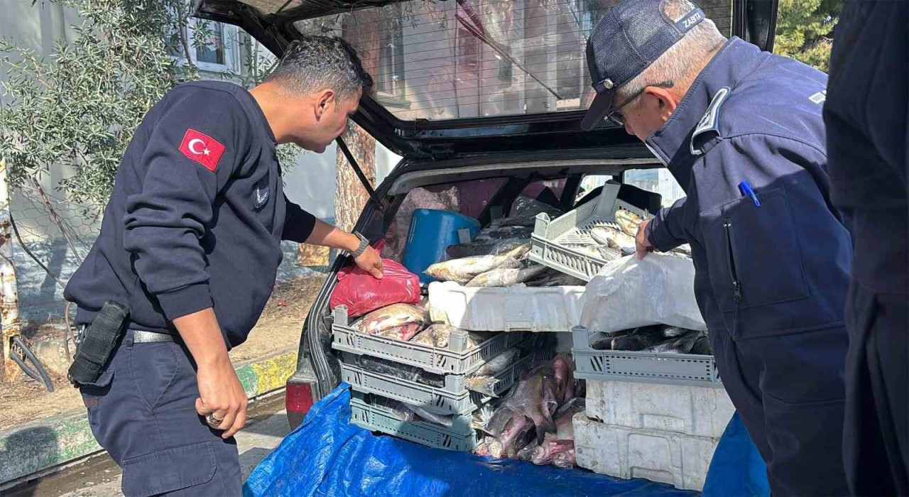 Tarsusta sağlıksız şartlarda ele geçirilen 750 kilo balık imha edildi