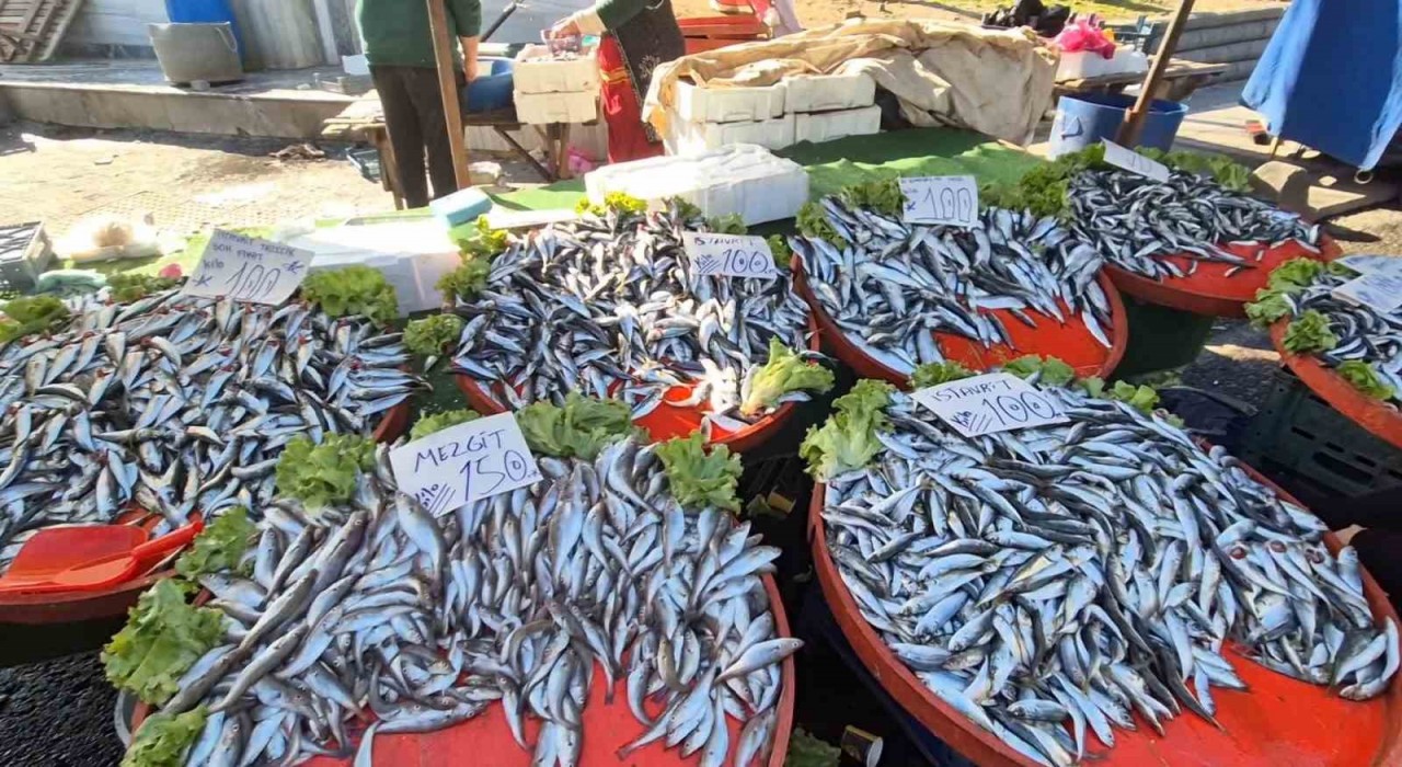 Tekirdağda hamsi ve istavritin kilosu 100 liradan satıldı