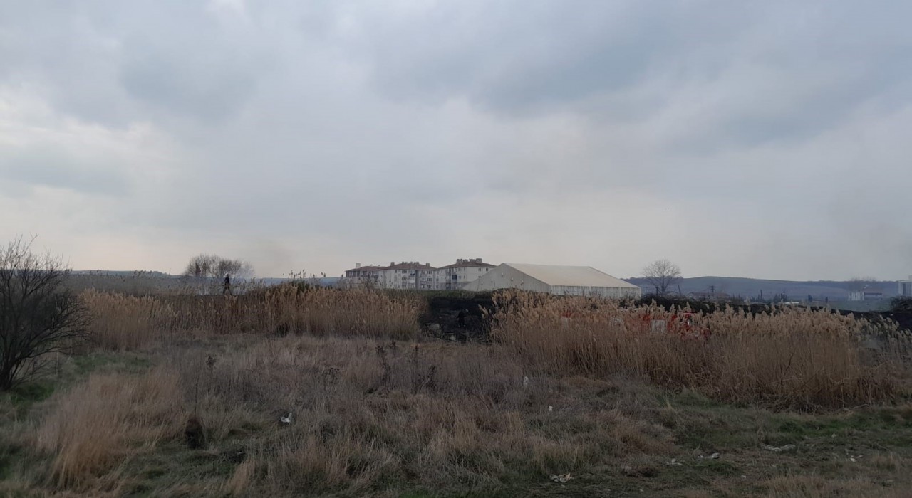Tekirdağda otluk alanda yangın