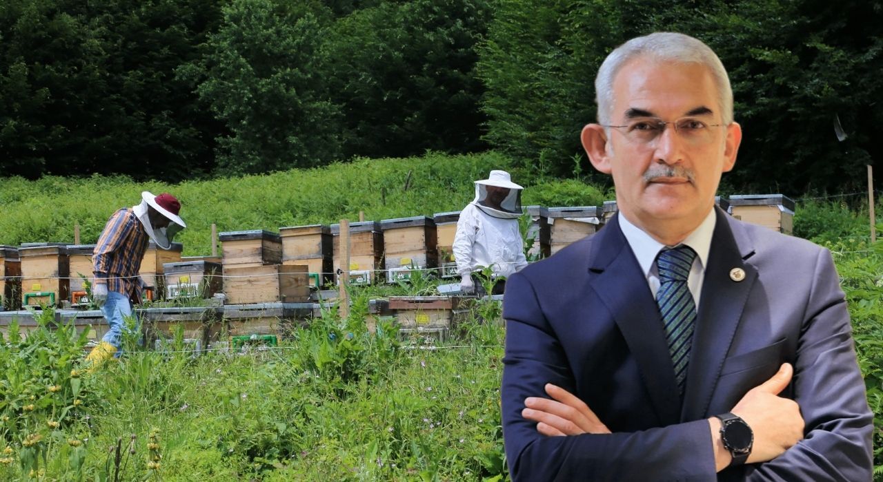 Türkiye’nin Ormanlarından 1,3 Milyar TL’lik Sürdürülebilir Gelir