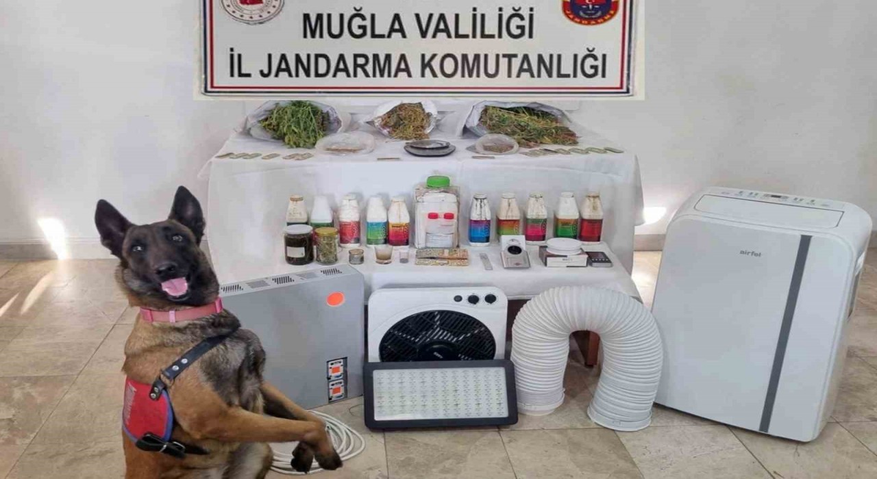 Ulada uyuşturucu operasyonu