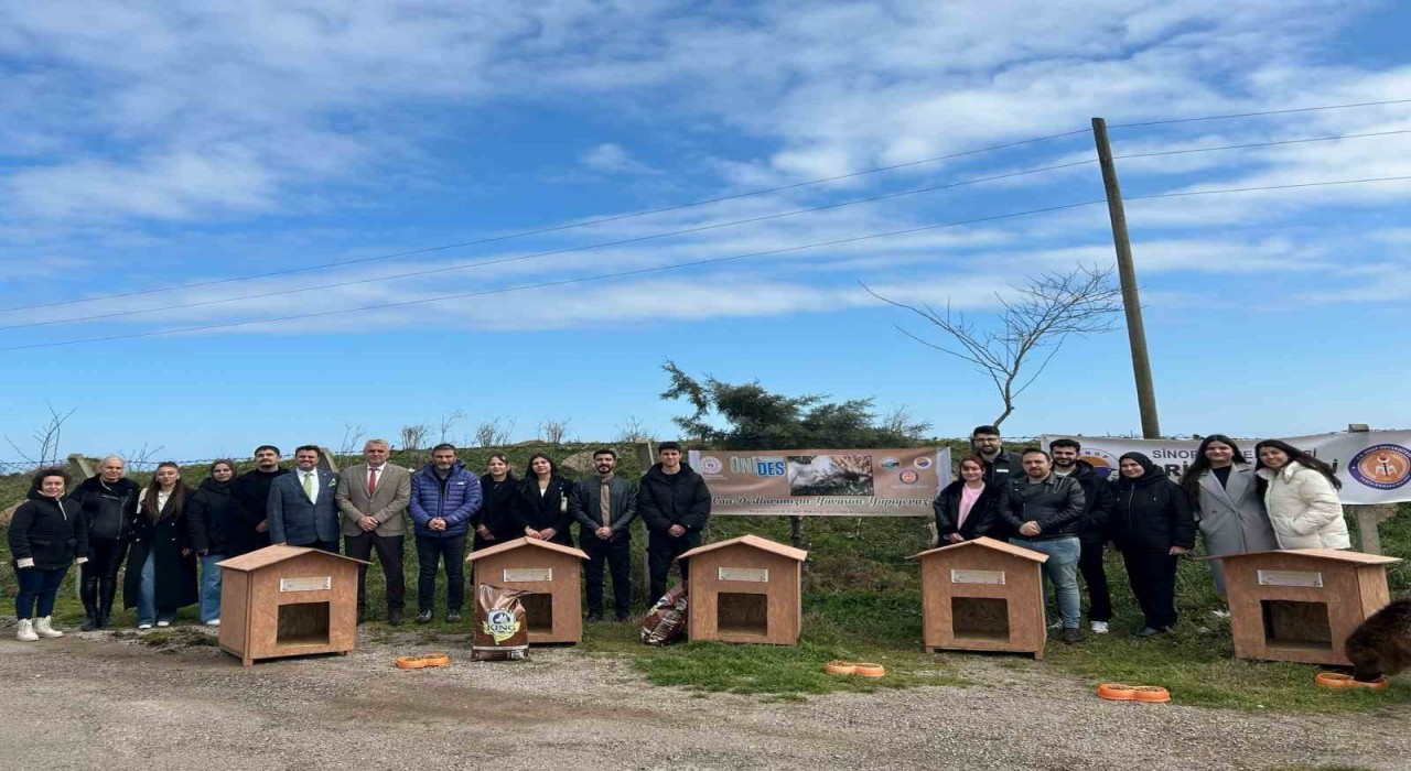 Üniversite öğrencilerinden hayan barınağına kulübe