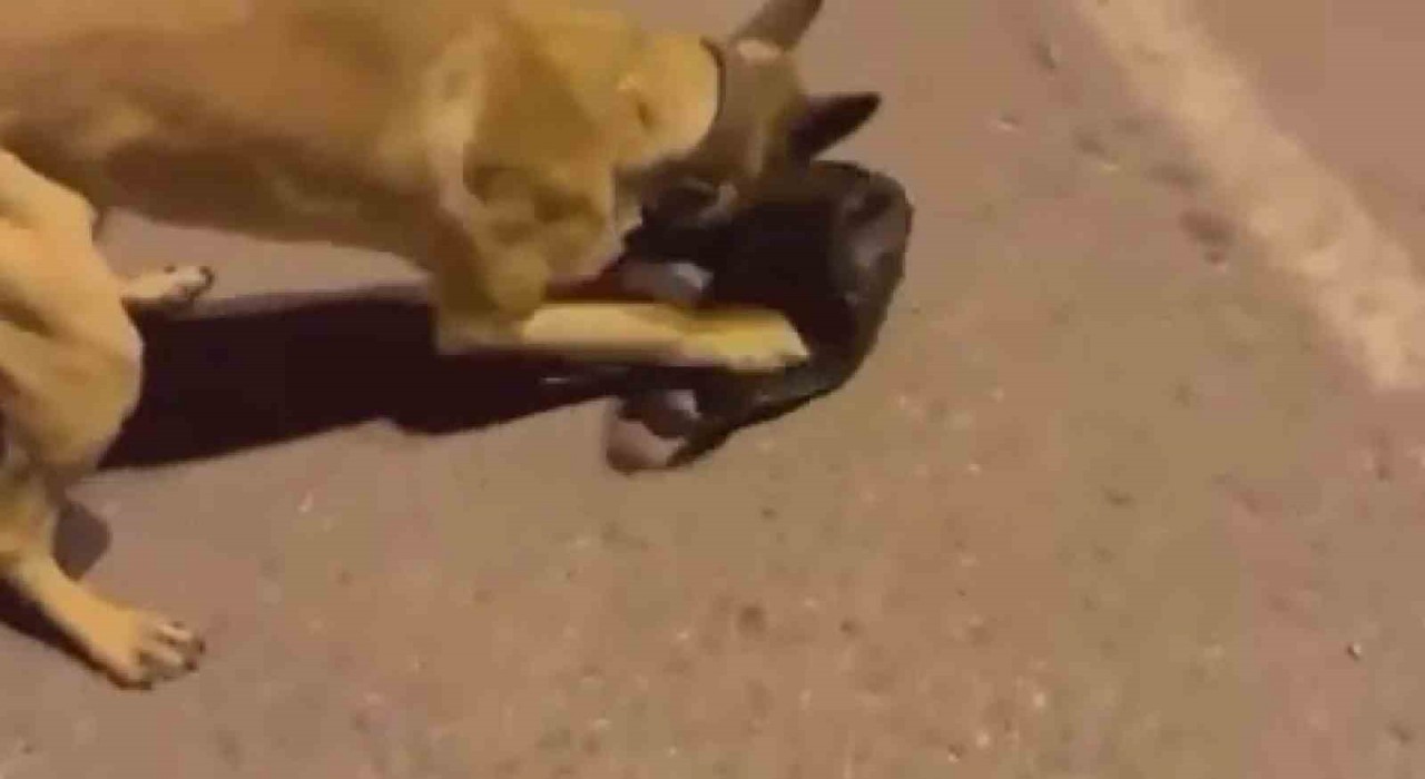 Uyuşturucu tacirleri ETAdan kaçamadı