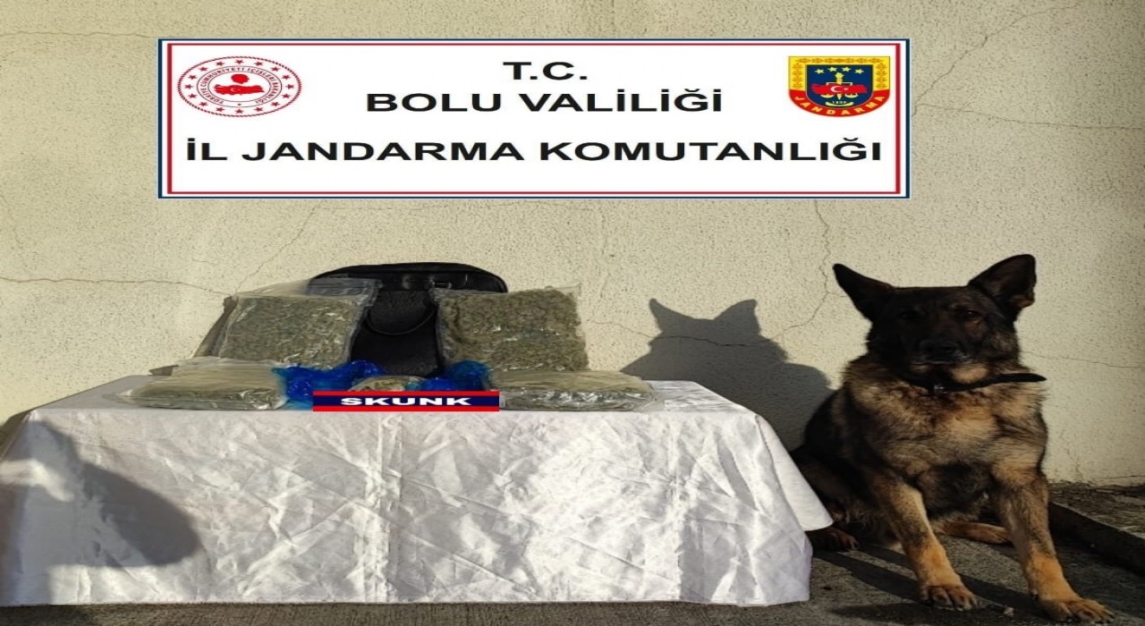 Uyuşturucu tacirleri otobüste yakalandı