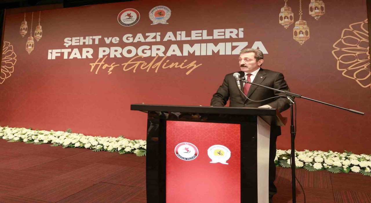 Vali Tavlı: Ülkemiz, demir yumruğunu daima hazırda tutmaktadır