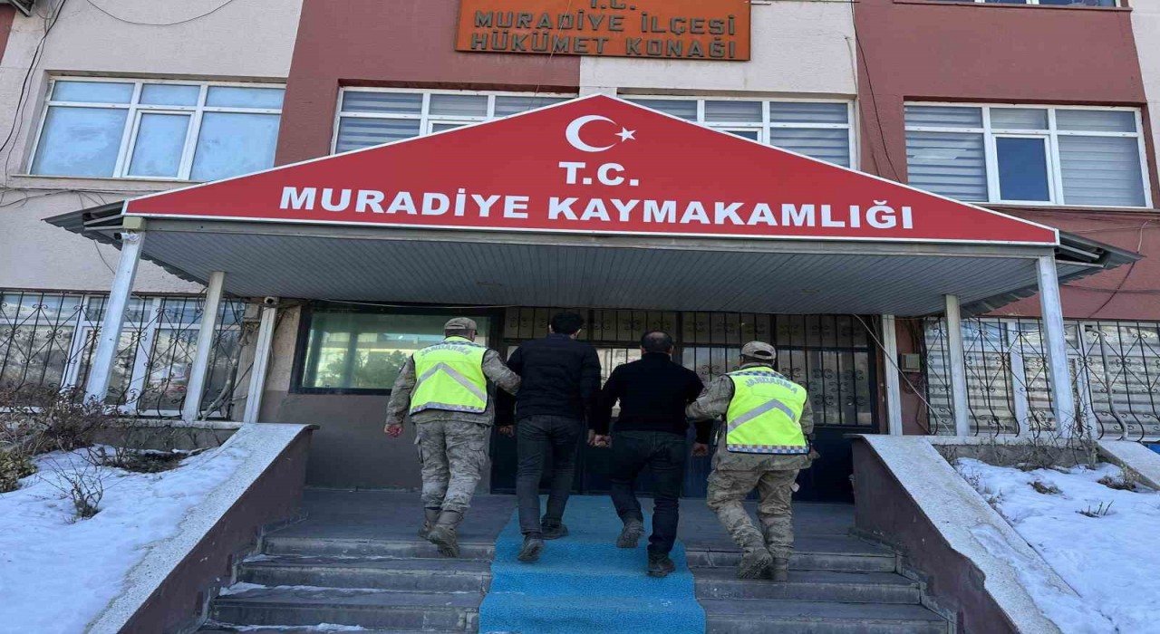 Vanda 4 düzensiz göçmen yakalandı