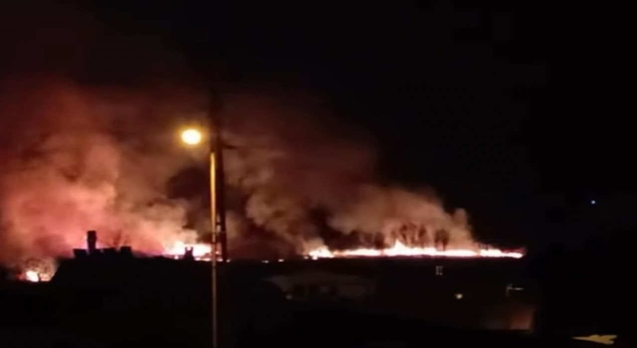 Vanda sazlık alanda yangın