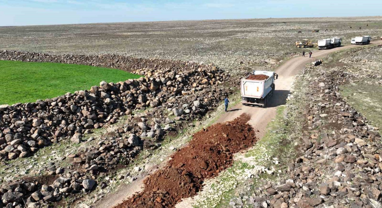 Viranşehirin kırsal yol ağı iyileştiriliyor
