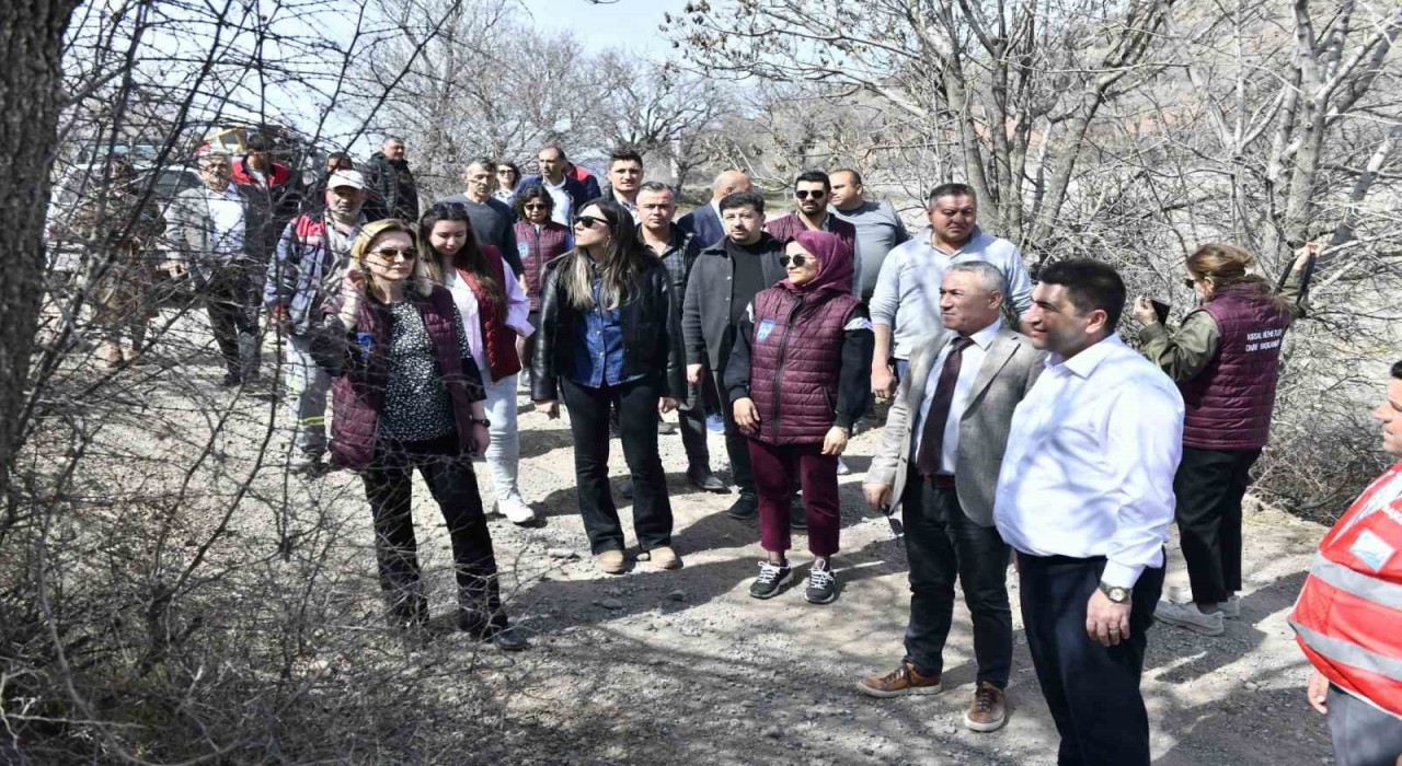 Yabani sakız ağaçları, Ankara fıstığı olacak