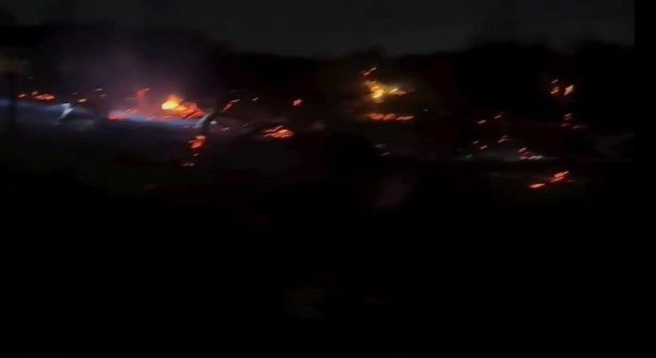 Yalovada orman yangını