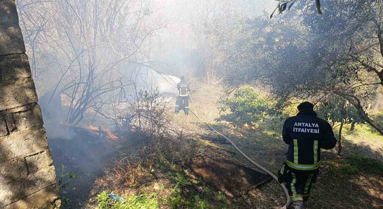 Yangın, Jandarma ve itfaiyenin müdahalesi söndürüldü