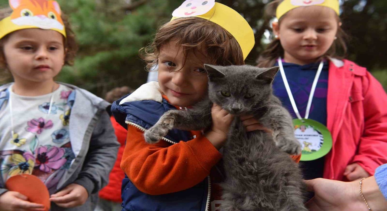 Yıldırımda 625 patili dost sıcak yuvaya kavuştu