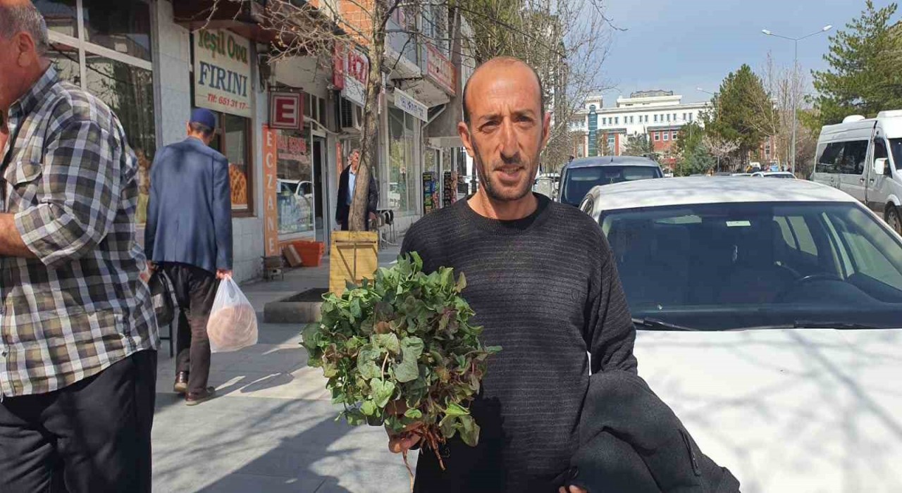 Yılın ilk kuzu kulağı tezgahlardaki yerini aldı