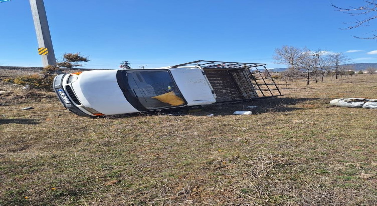 Yoldan çıkan kamyonet tarlaya uçtu: 2 yaralı