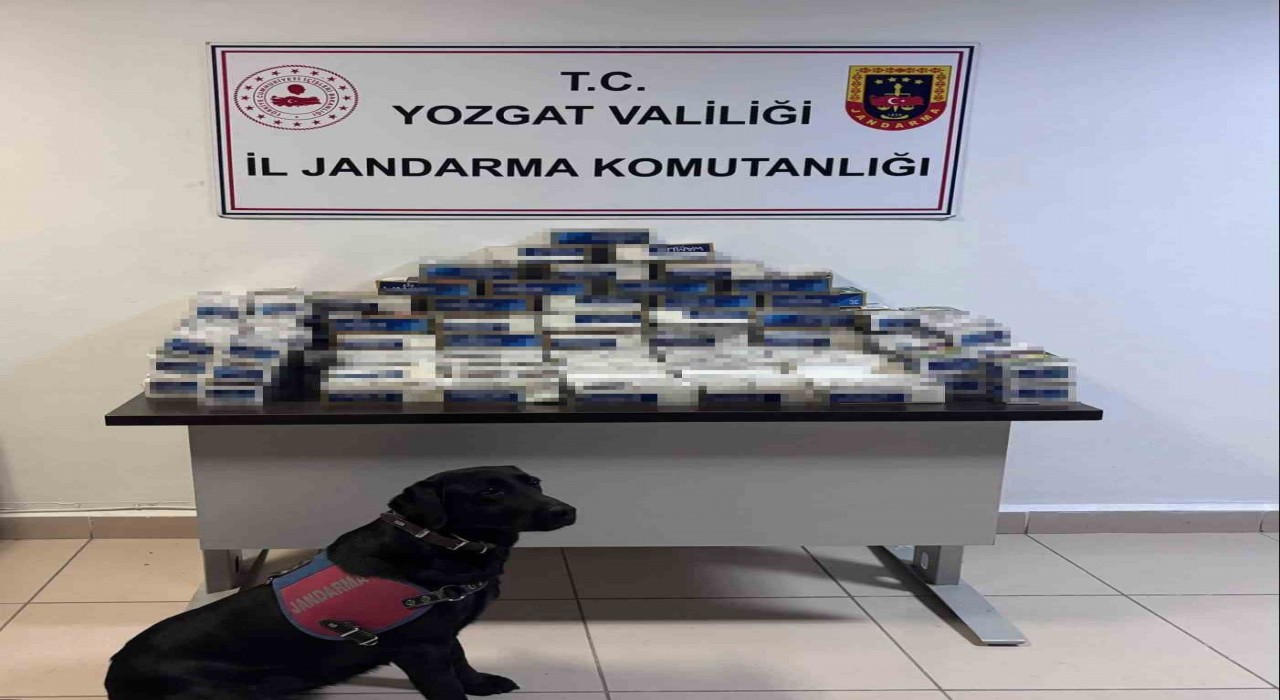 Yozgatta 20 bin adet makaron ele geçirildi