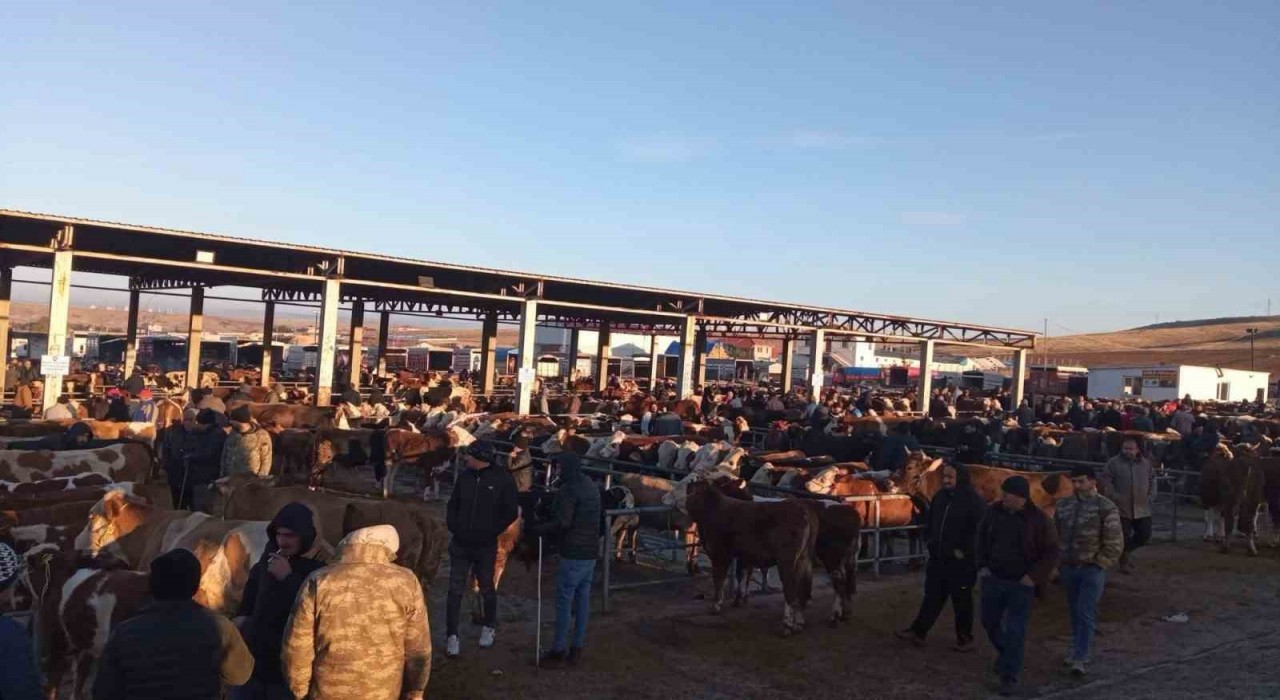 Yozgatta geçici olarak kapatılan hayvan pazarları yeniden açıldı