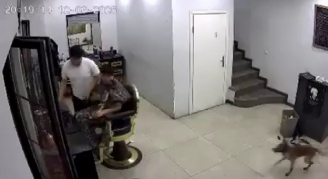 Zincirini koparan köpek kuaförde müşteriye ısırdı