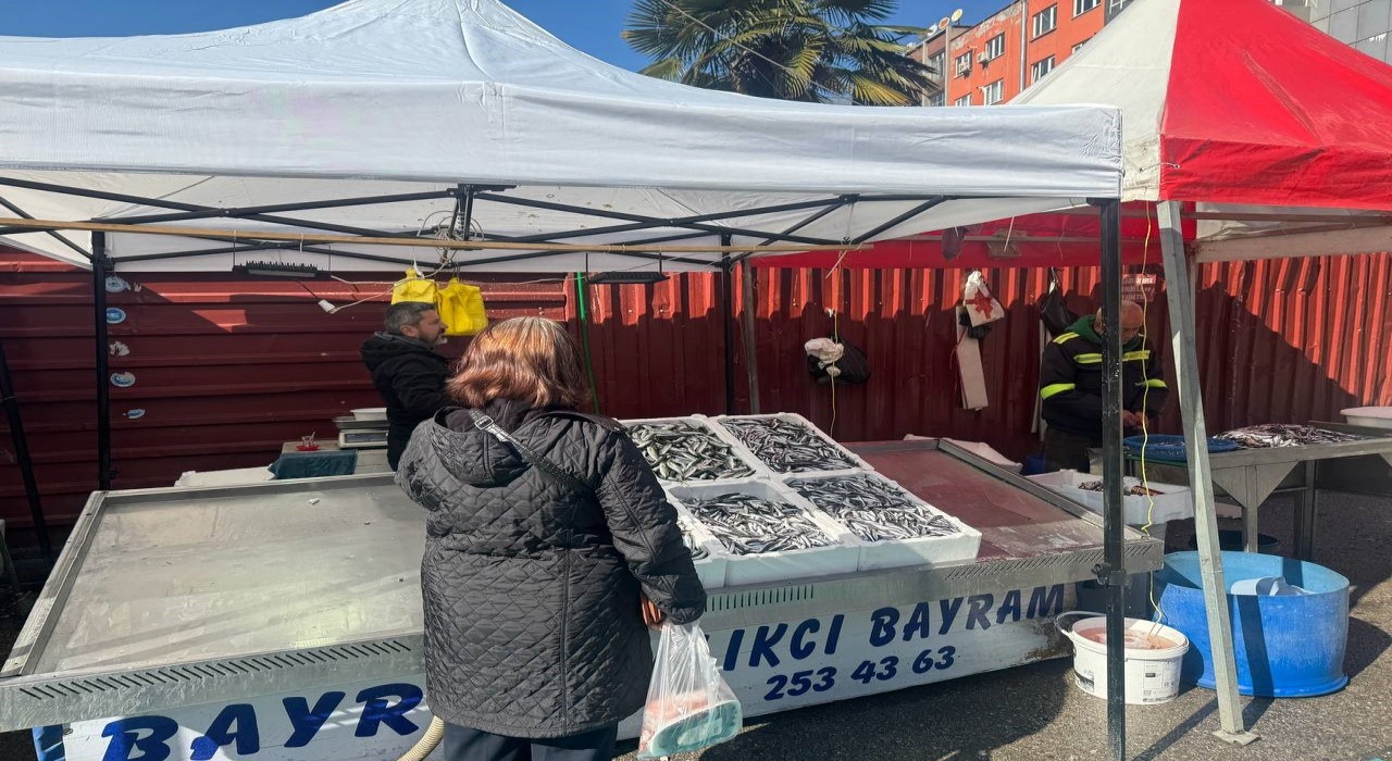 Zonguldakta tezgahlarda mezgit bolluğu