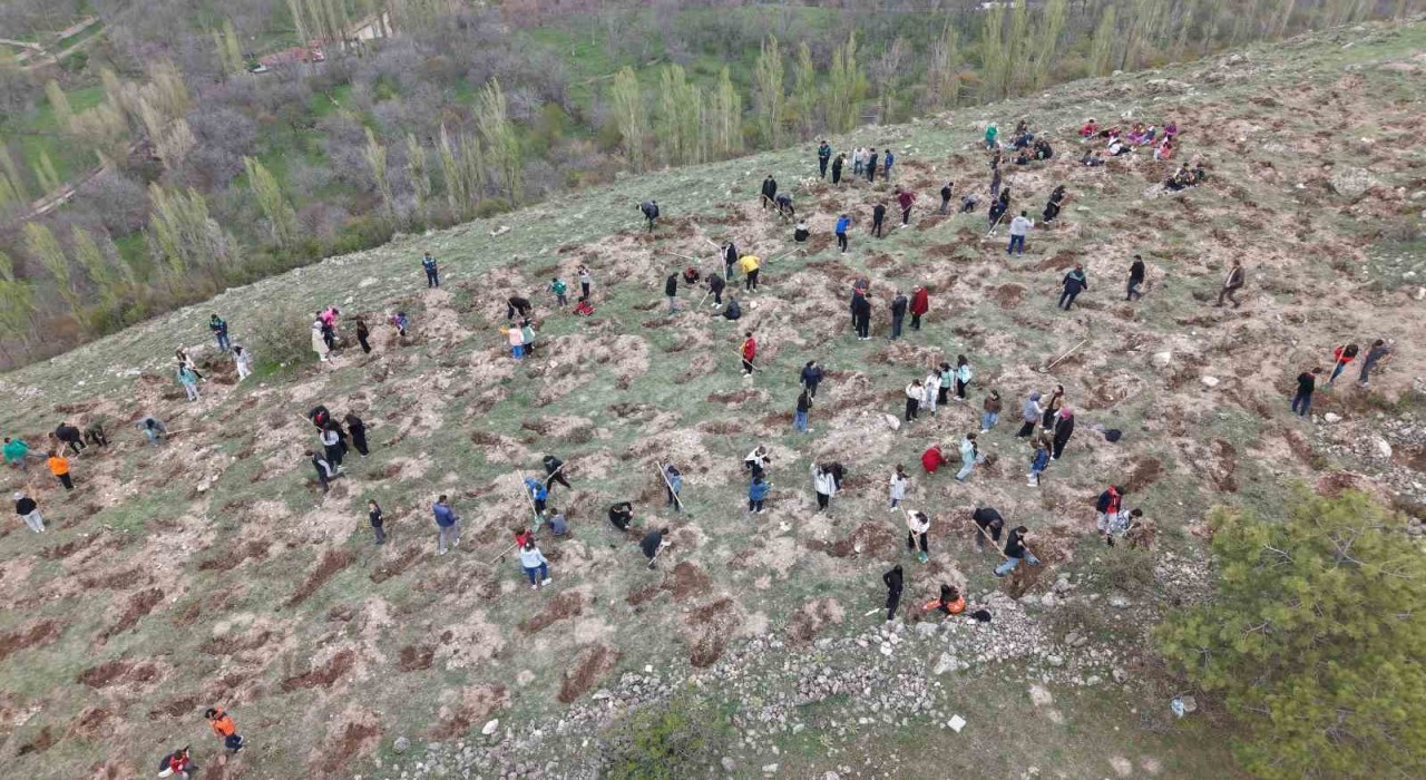 3 bin fidanı toprakla buluşturan büyükşehirden ‘Gesi Ağaçlandırma Şenliği