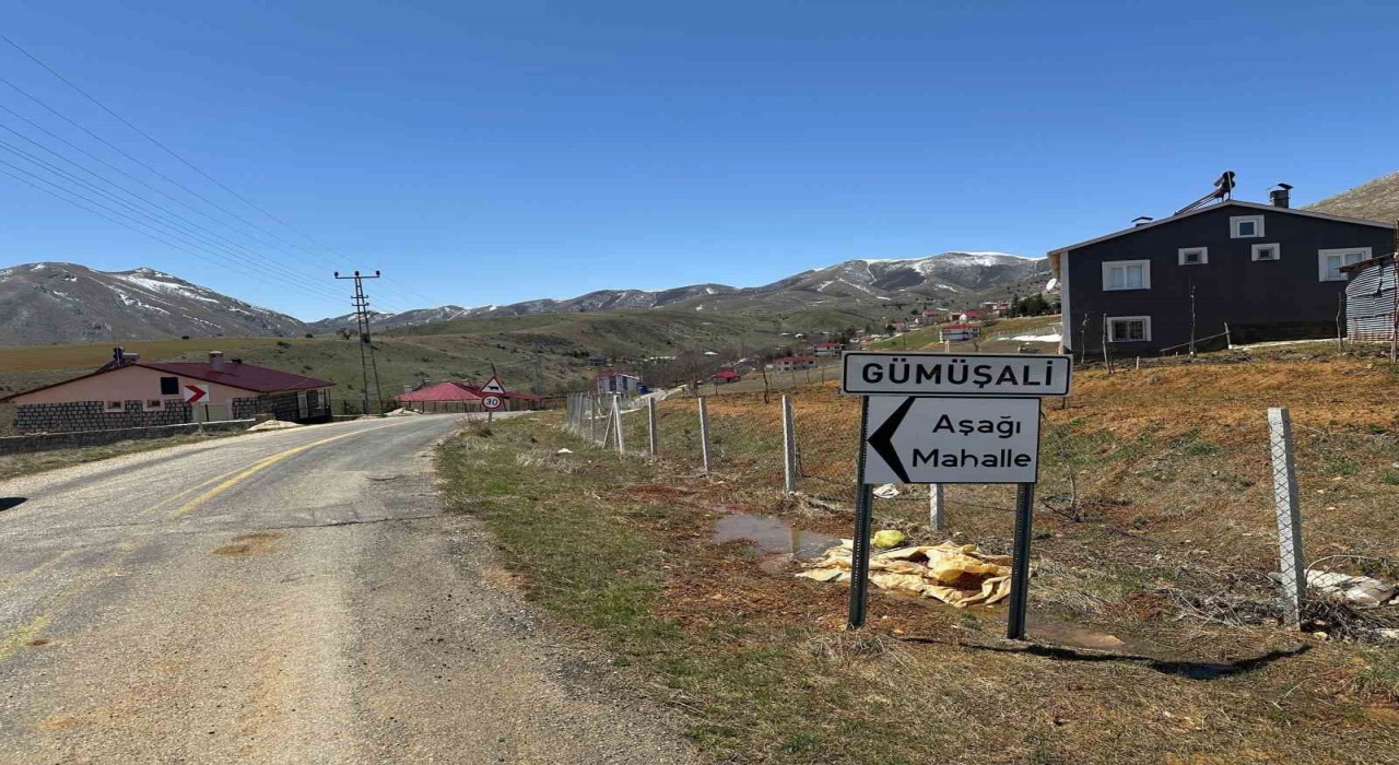 72 yaşındaki adamın ölümüne neden olan köpekler sahipli çıktı