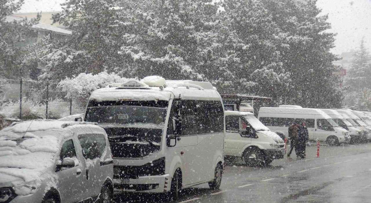 Ahlatta nisan karı etkili oldu