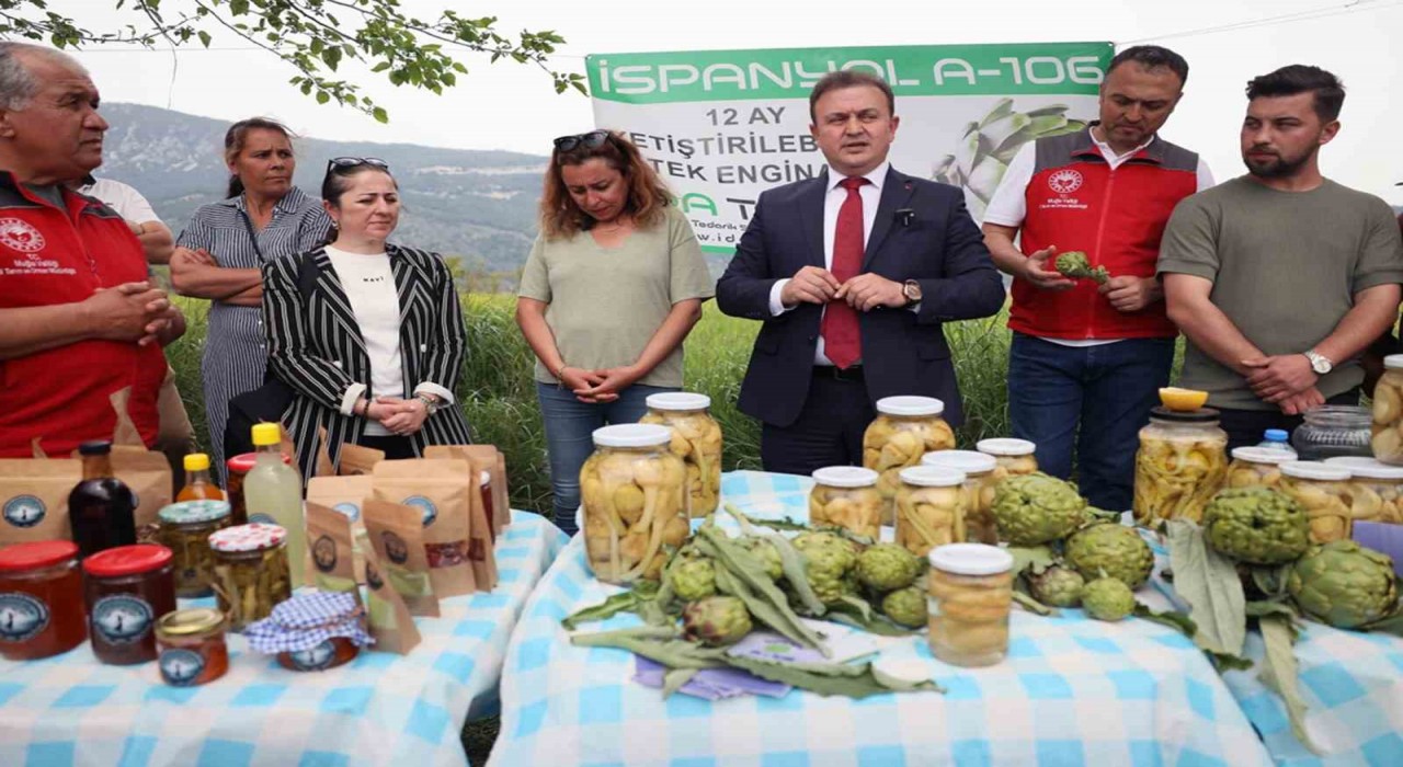 Akçapınarda ‘Hibrit Enginar Hasadı Tarla Günü düzenlendi