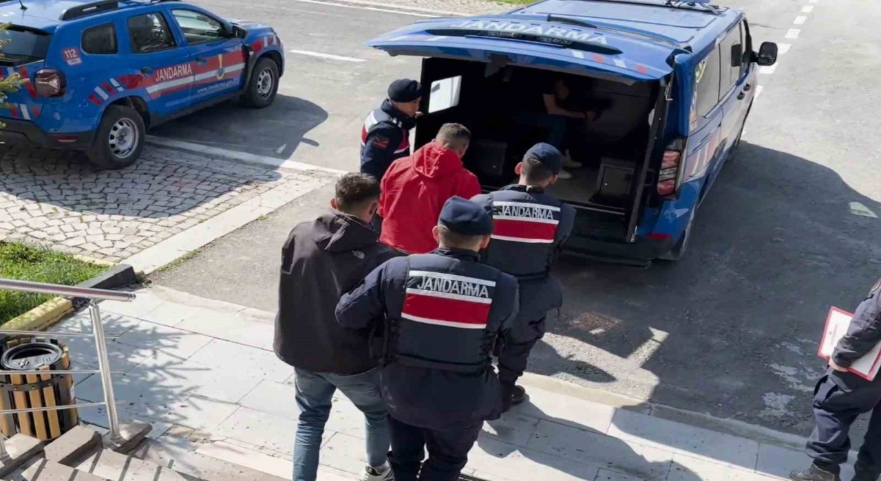 Aksarayda küçükbaş hayvan hırsızlığına 1 tutuklama