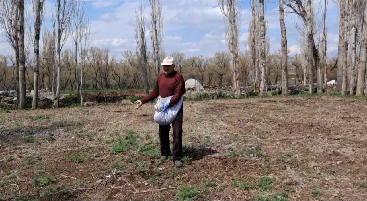 Akyakada elle tohum serpme geleneği devam ediyor