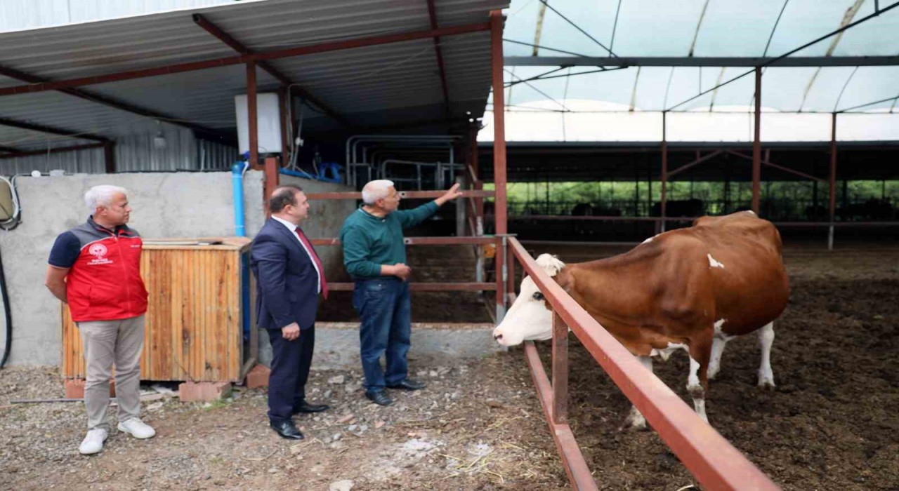 ‘Anneleri Aşılat, Buzağını Yaşat projesi eğitim toplantısı Ortacada gerçekleştirildi