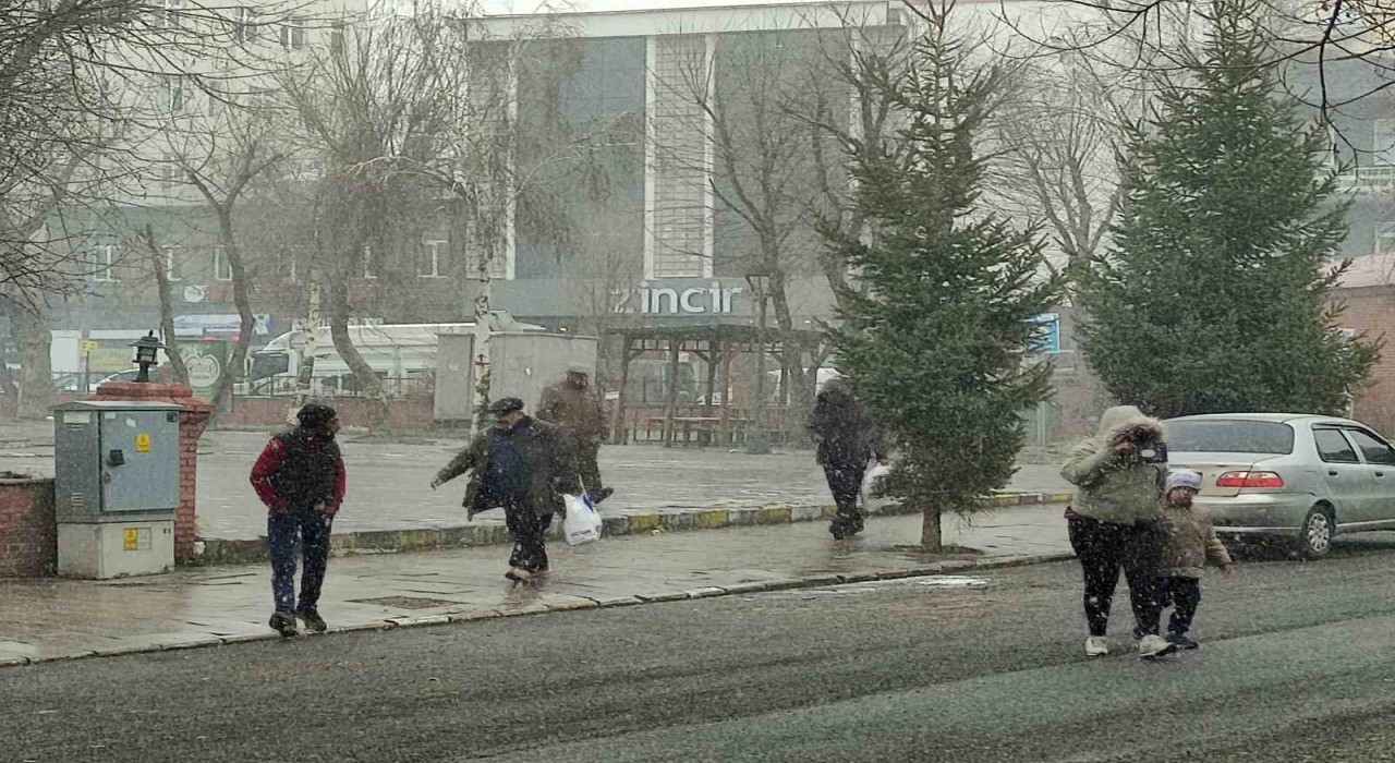 Ardahanda kar yağışı etkili oldu