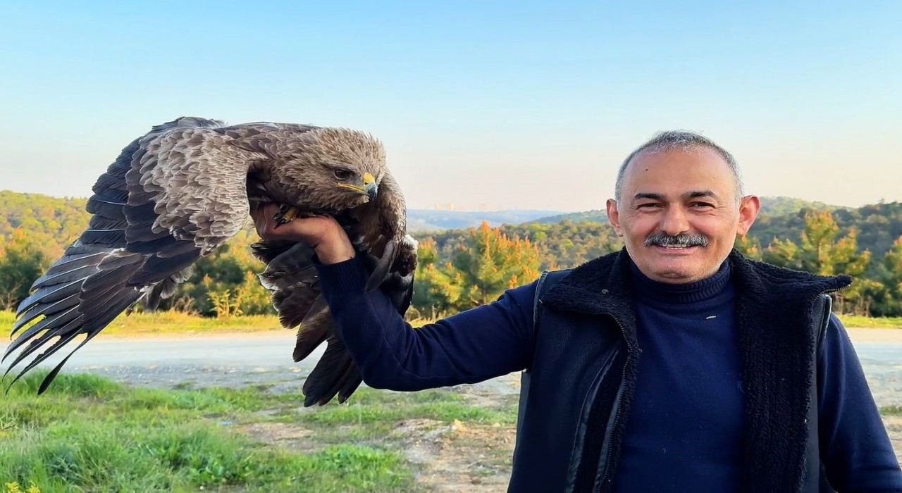 Arnavutköyde ormanda ot toplayan vatandaş yaralı Kaya Kartalı buldu