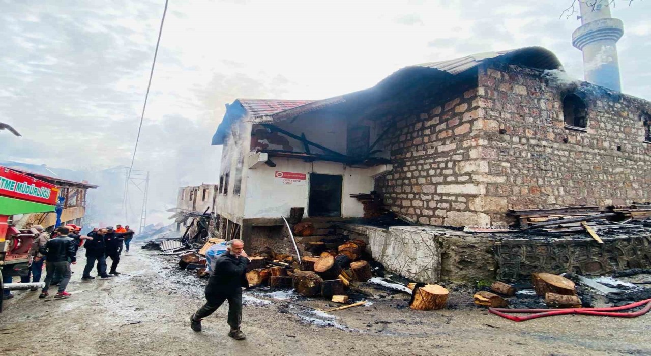 Artvin Şavşatta yangın