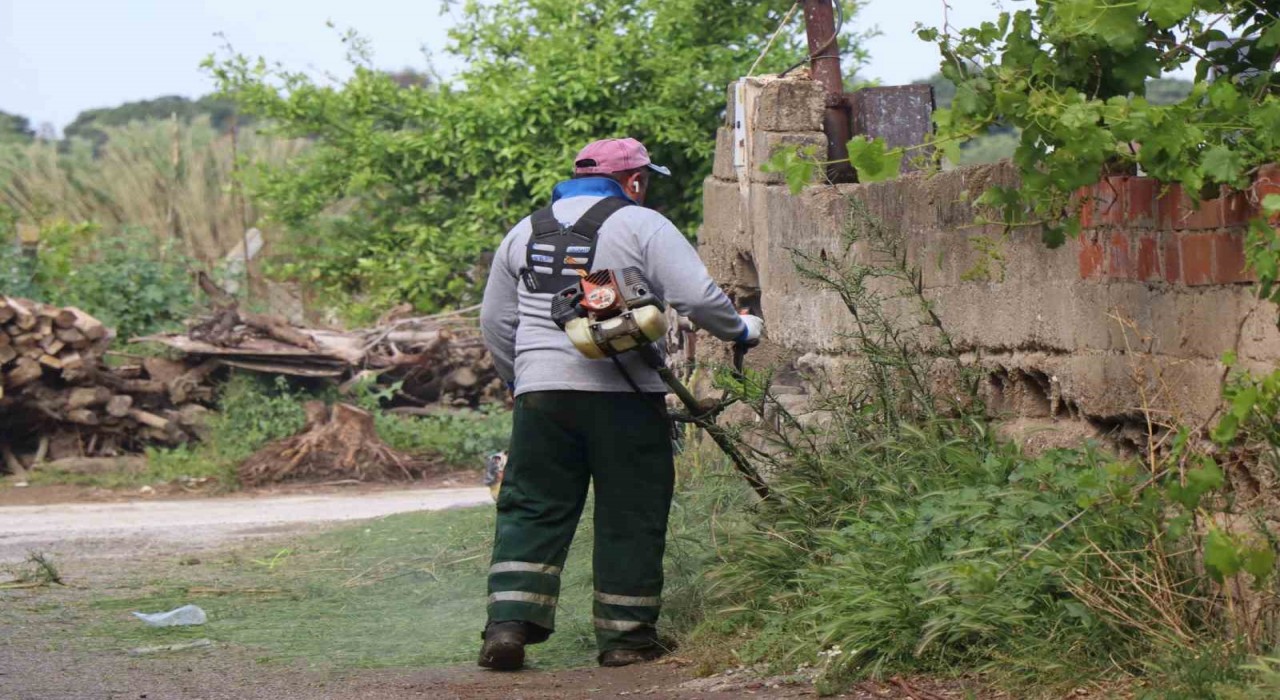 Aşağı Nazillide saha çalışmaları artırılıyor