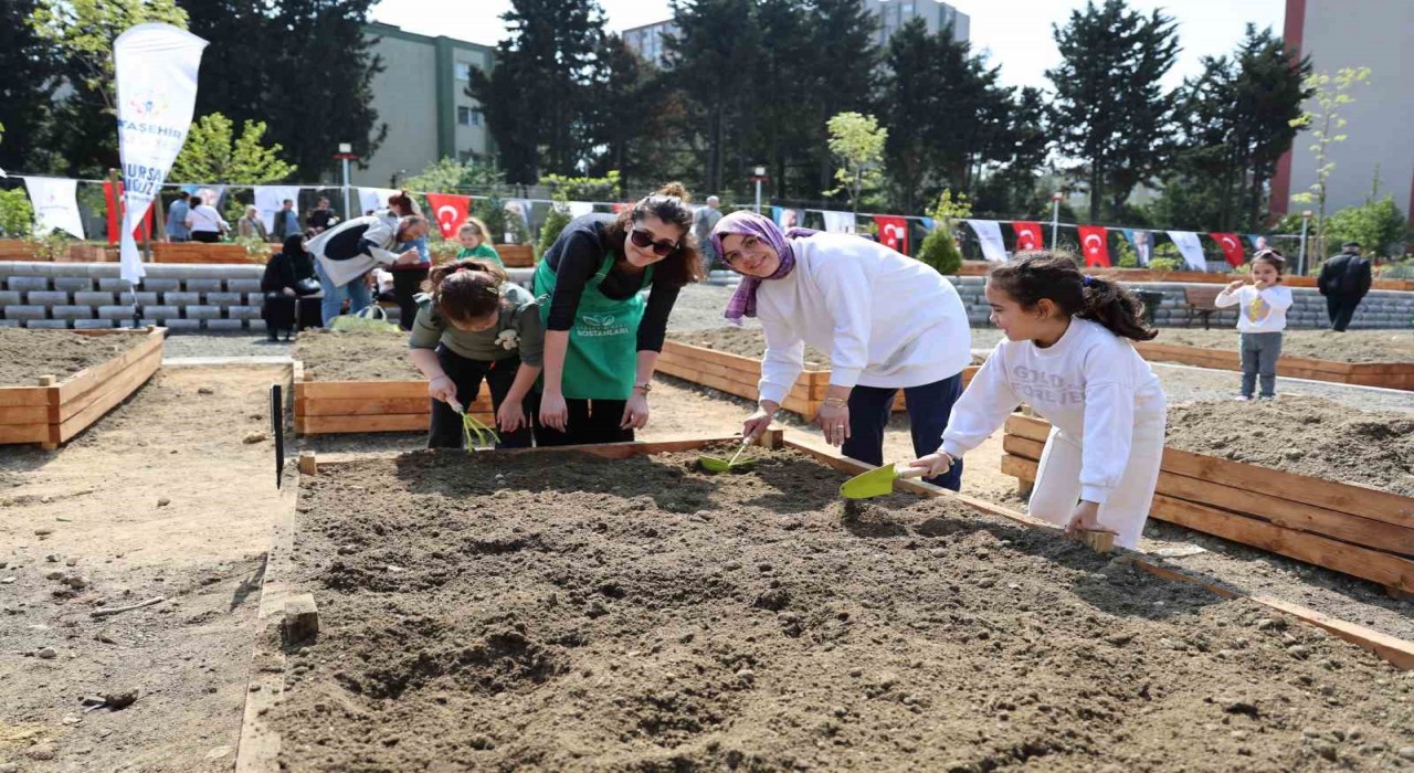 Ataşehirde Kent Bostanları projesinin ikincisi hayata geçti