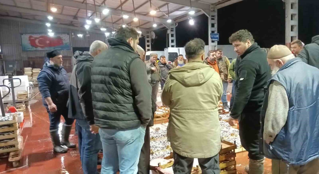 Av yasağı başladı, küçük teknelerin getirdiği balıklar mezatta satıldı