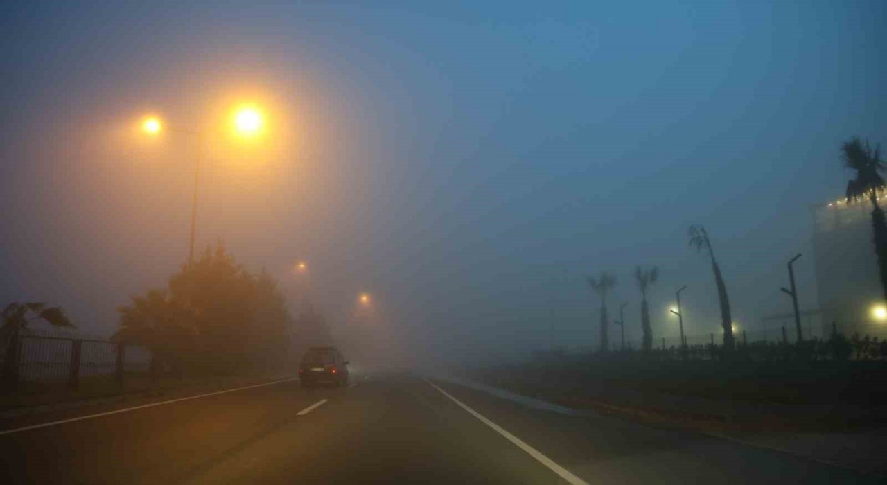 Aydın-Muğla yolunda yoğun sis