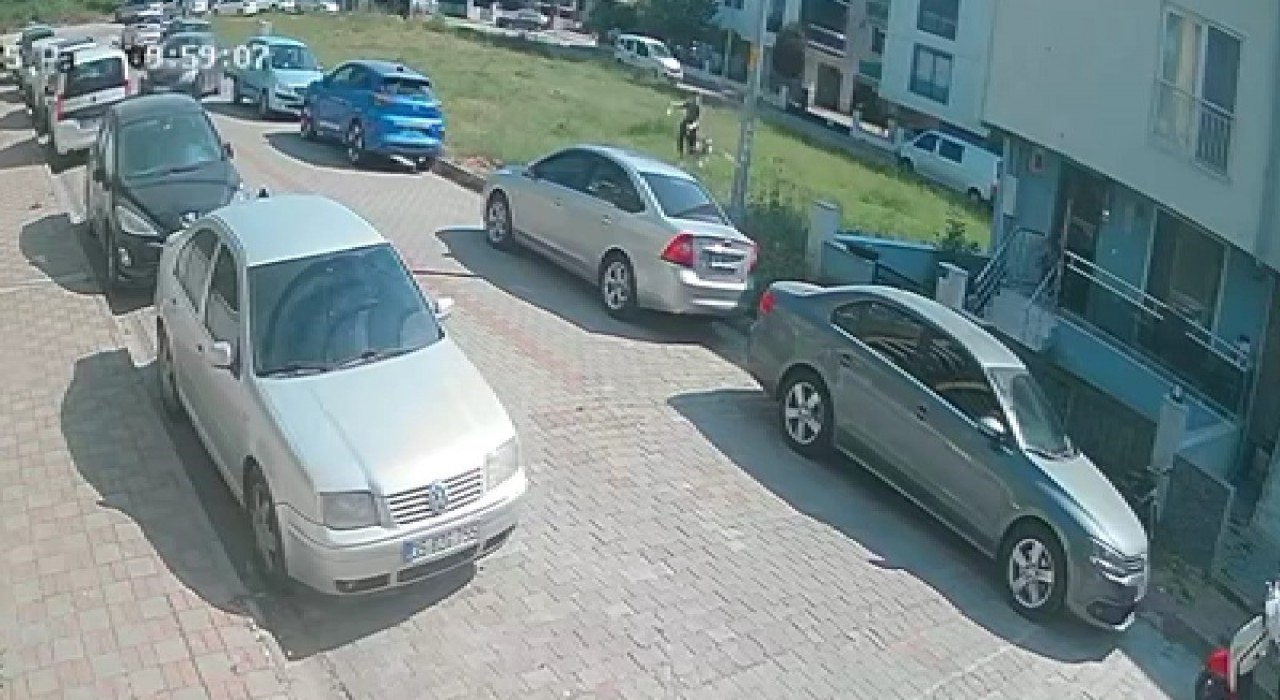 Aydında sınava giden öğrenciye köpek saldırdı