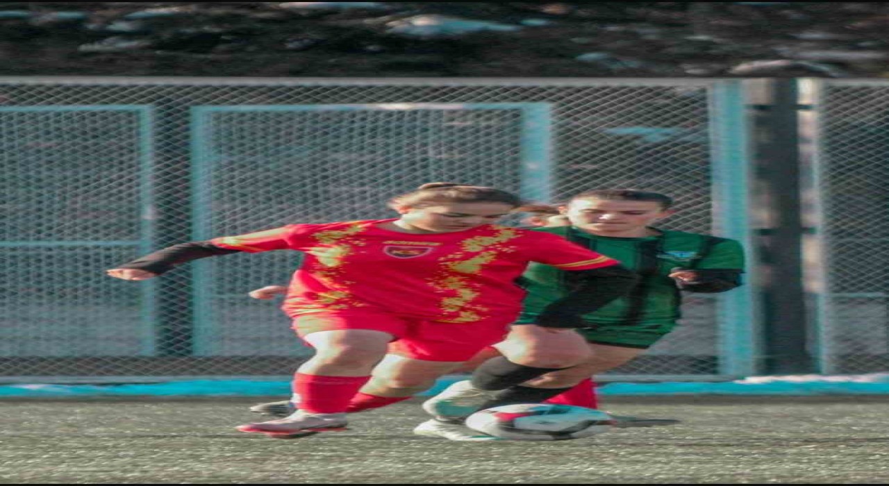 Ayşegül Aydına milli davet