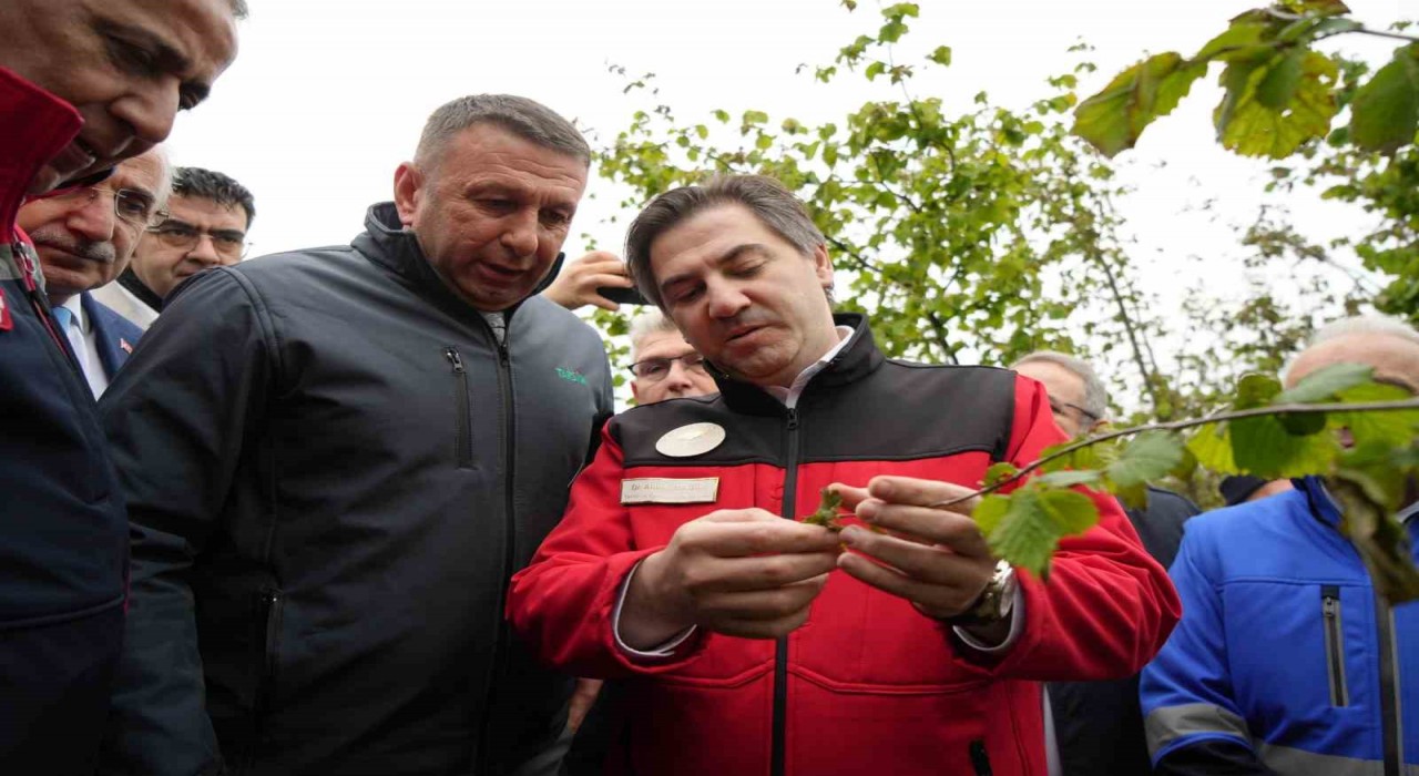 Bakan Yardımcısı Bağcı: Cumhuriyet tarihinin en büyük zirai don hadisesi